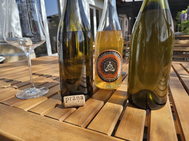 O(M)range - Weingut Prāṇa - cosima-lindenau-niklas-eisenacher 