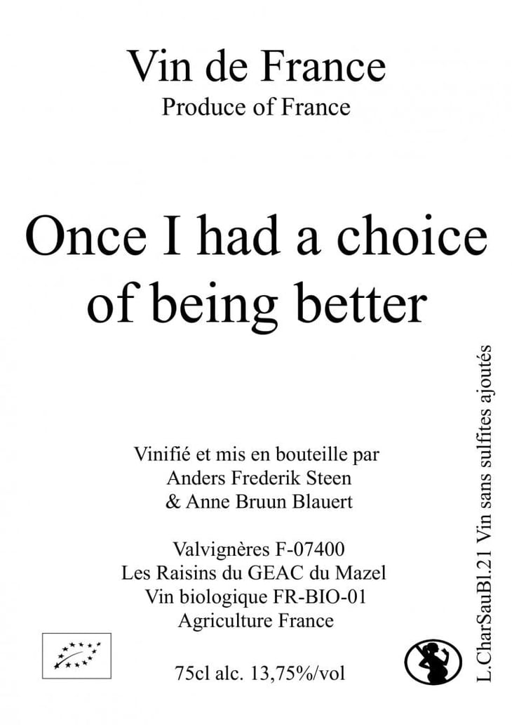 Once I had a choice of being better - Anders Frederik Steen & Anne Bruun Blauert - anders-frederik-steen-anne-bruun-blauert -2021