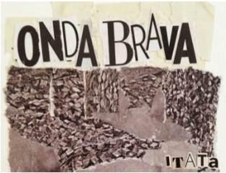 Onda Brava - Cinsault (X Dani Rozman, La Onda)) - A Los Viñateros Bravos / Onda Brava - leonardo-erazo 