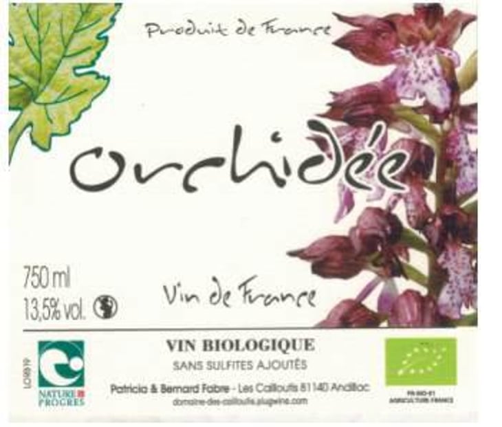 Orchidée - Domaine des Cailloutis - patricia-bernard-fabre 