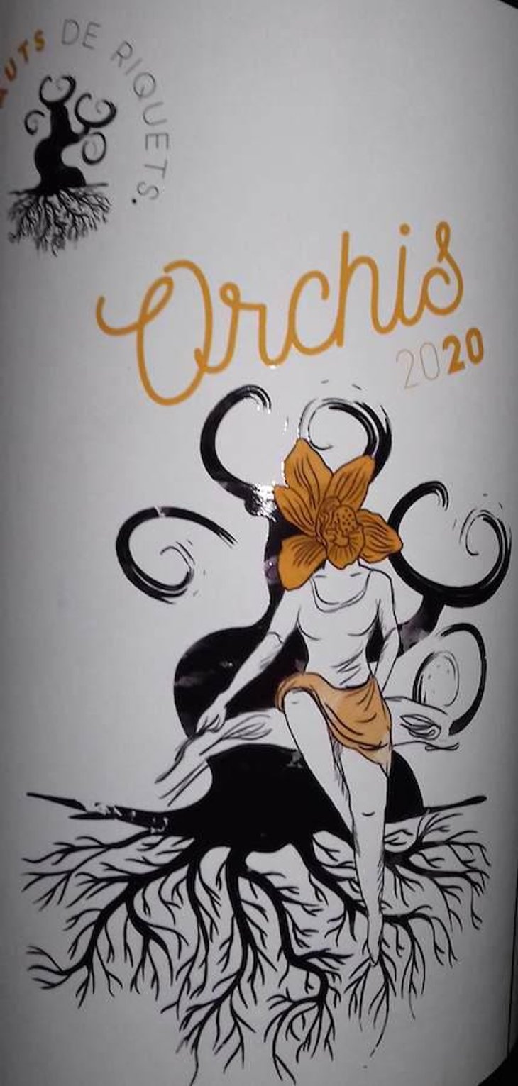 Orchis - Les Hauts De Riquets - ivan-lea-bireaud 