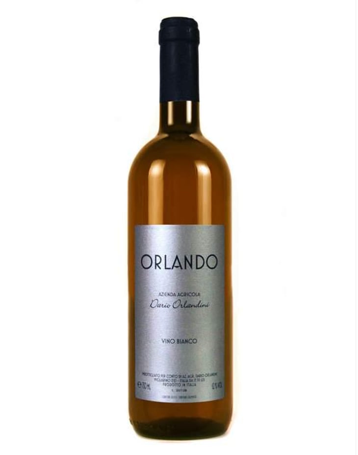 Orlando - Azienda Agricola Dario Orlandini - dario-orlandini 