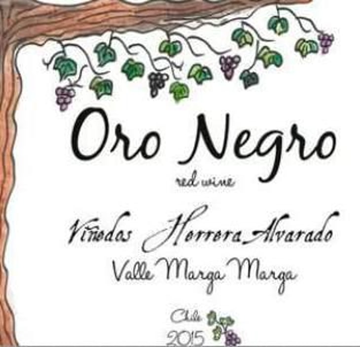 Oro Negro - Viñedos Herrera Alvarado - carolina-alvarado-arturo-herrera 