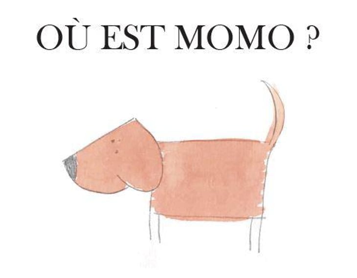 Où est Momo ? - Domaine des 2 Fauves - laura-soldan-charles-henri-quantin 