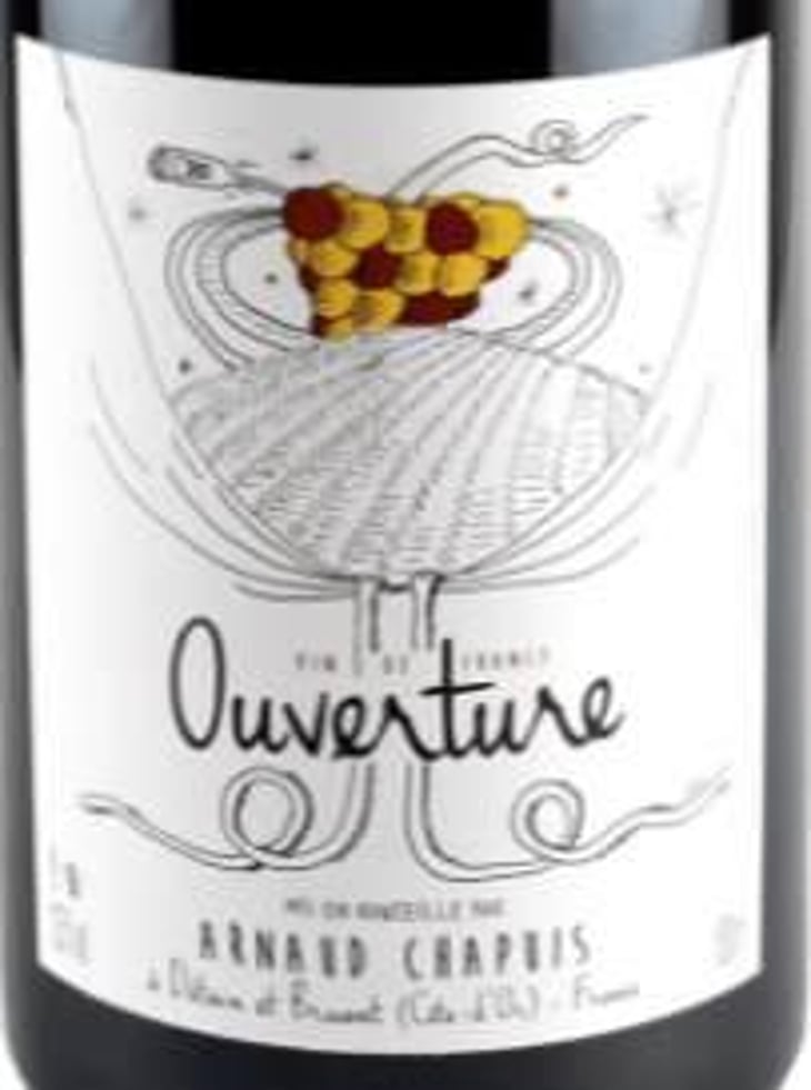 Ouverture - Pinot Noir - Domaine Arnaud Chapuis - arnaud-chapuis 