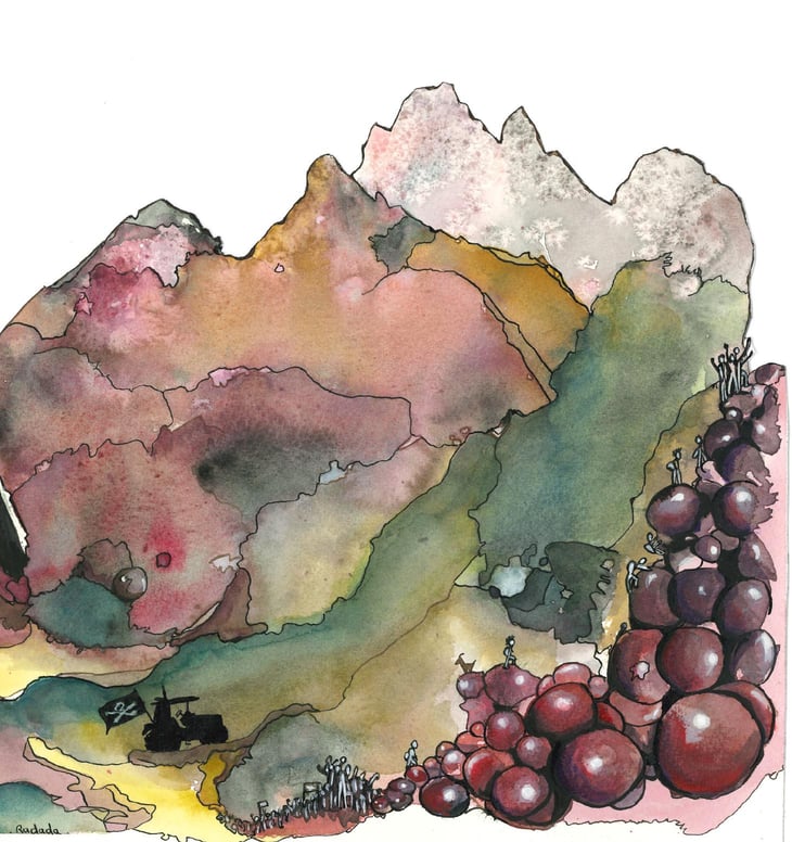 Pà Cunisiun - Azienda Agricola Granja Farm - luca-barbich -2022