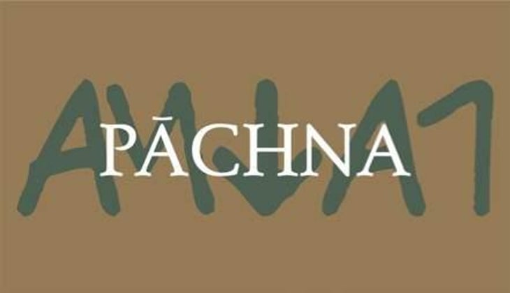 Pachna - Azienda Agricola Pācina - giovanna-tiezzi-stefano-borsa-maria-borsa-carlo-borsa-roberto-maccari-elisa 