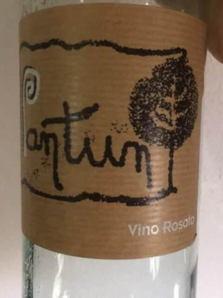 Pantun Rosato - Cantina Pantun - domenico-caragnano 