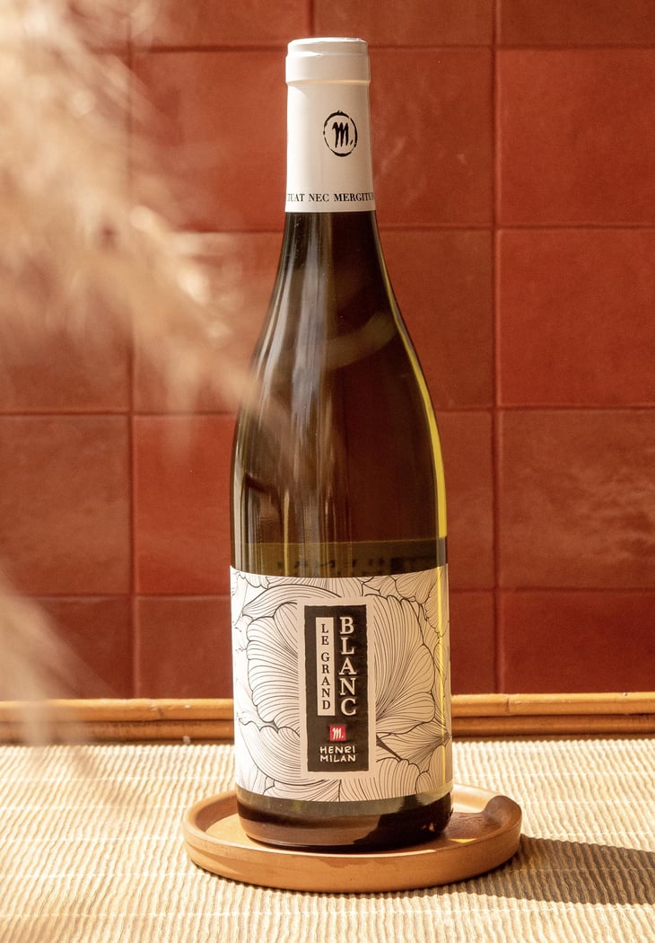 Papillon blanc - Domaine Milan - emma-theophile-henri-milan -2016