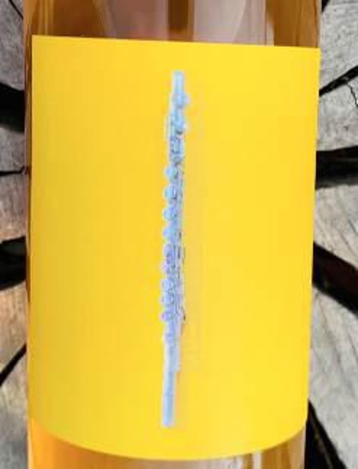 Para Pato Blanco - Amplify Wines - cameron-marlen-porter 