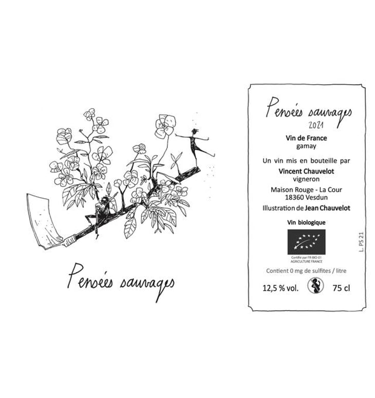 Pensées Sauvages - Vincent Chauvelot - vincent-chauvelot 