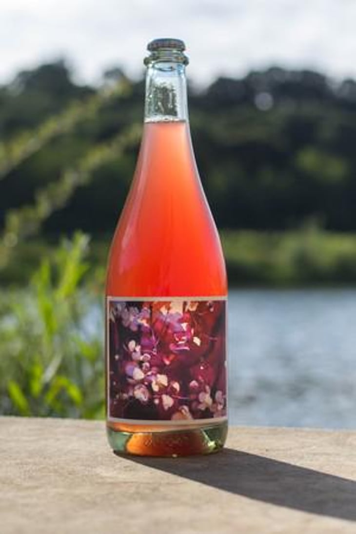 Pét-Nat of Pinot Noir - Johan Vineyards - dag-j-sundby-dan-j-rinke 