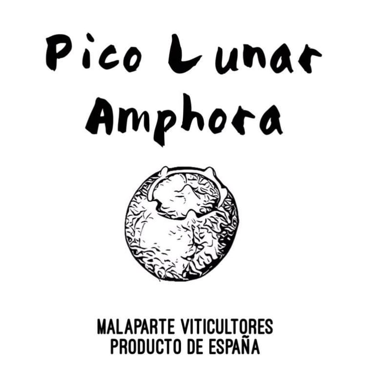 Pico Lunar Amphora - Vinos Malaparte - elisa-de-frutos-ruben-salamanca 