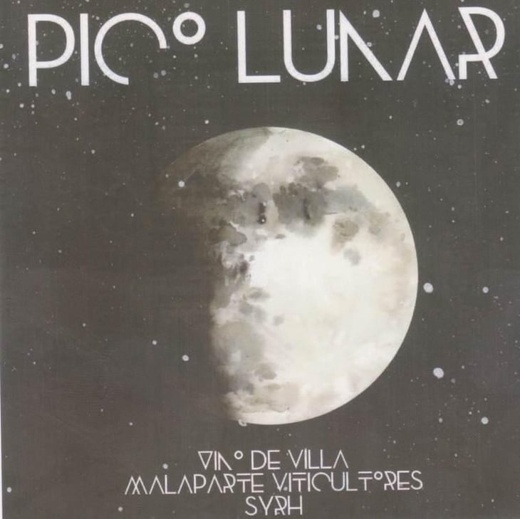 Pico Lunar Syrah - Vinos Malaparte - elisa-de-frutos-ruben-salamanca 