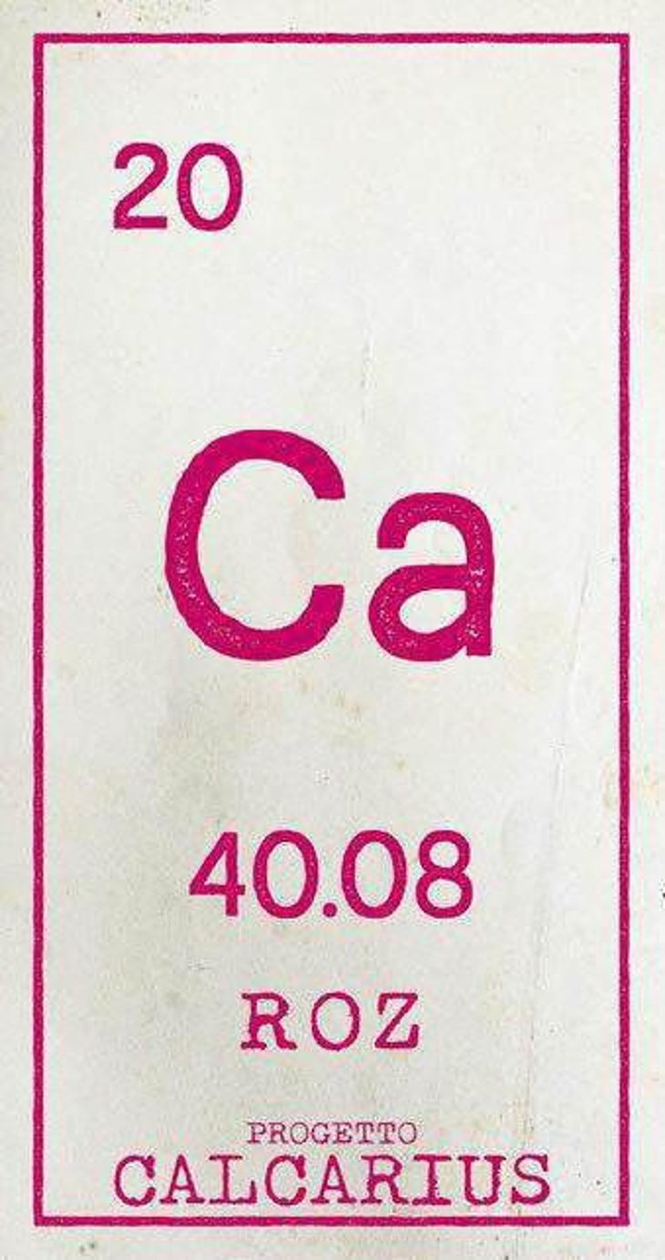 Calcarius Roz - Valentina Passalacqua - valentina-passalacqua 