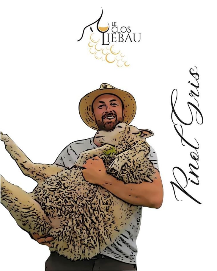 Pinot Gris - Le Clos Liebau - sebastien-schwach-burkard 