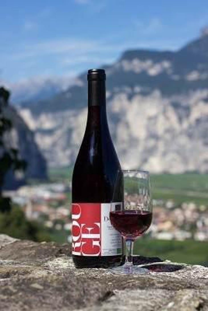 Rouge - Ansitz Dornach - patrick-karoline-uccelli 