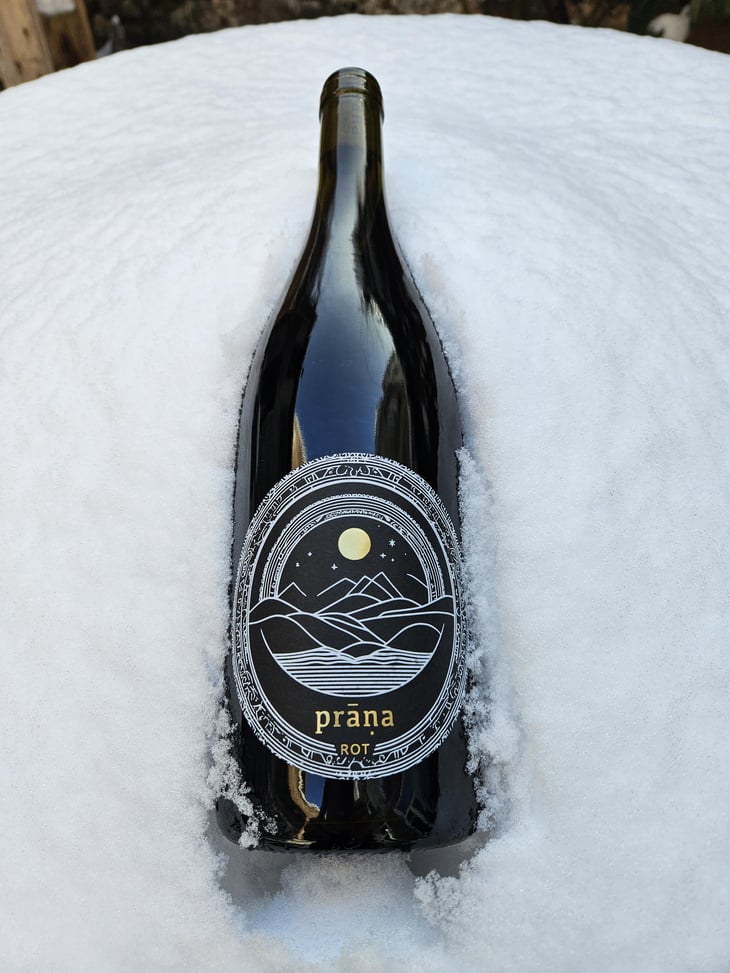 Pinot Noir 2022 - Weingut Prāṇa - cosima-lindenau-niklas-eisenacher 