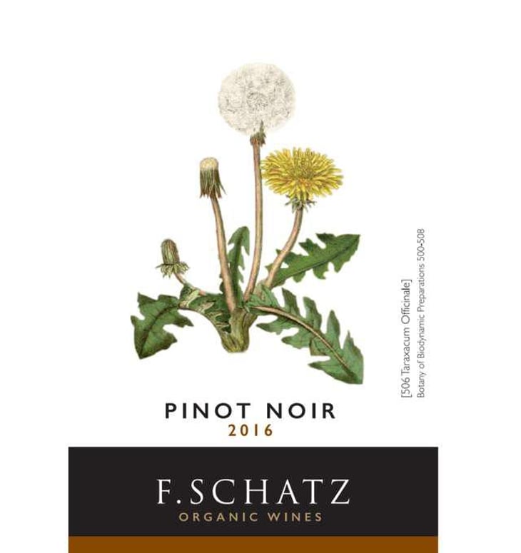Pinot Noir - Bodegas Schatz - friedrich-schatz 