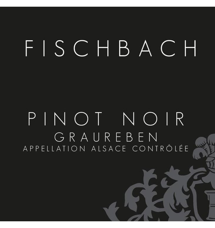 Pinot Noir Graureben - Domaine Fischbach - jean-dreyfuss 