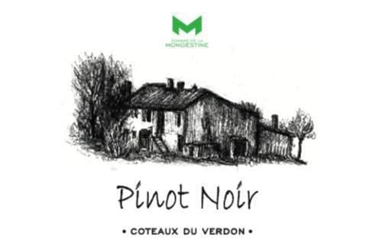 Pinot Noir - Domaine de la Mongestine - maxime-gamard-celine-harry-gozlan 