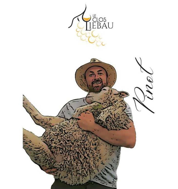 Pinot - Le Clos Liebau - sebastien-schwach-burkard 