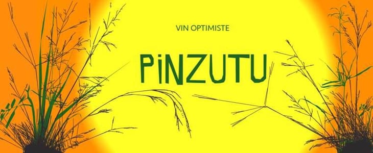 Pinzutu - Domaine de Sulauze - karina-guillaume-lefevre 