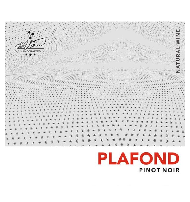 Plafond Pinot Noir - Weinhof Uibel - michaela-leo-uibel 