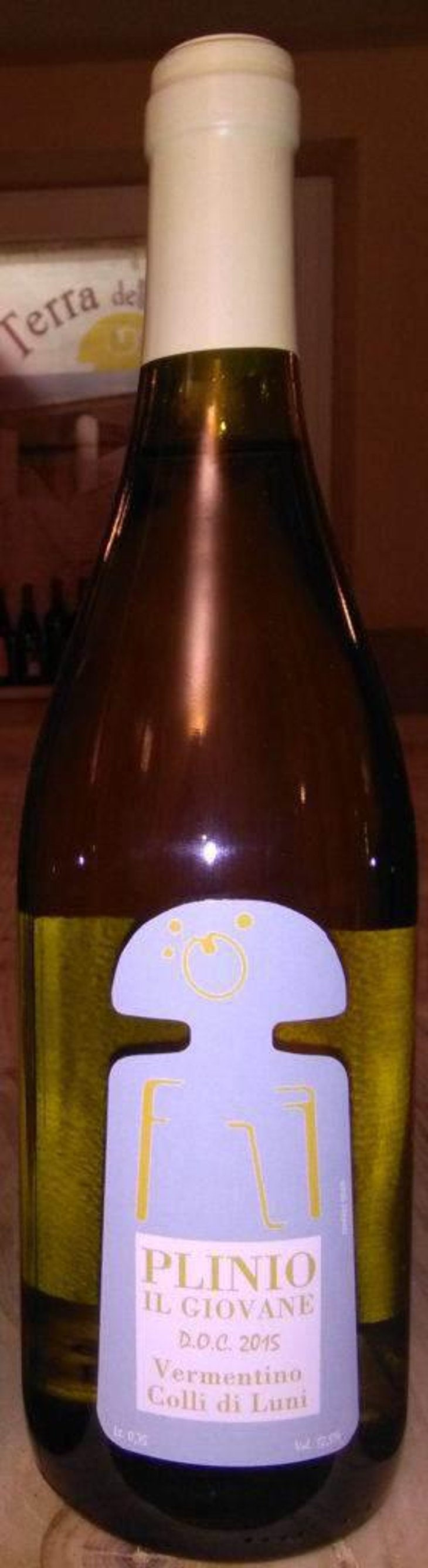 Plinio il giovane - Terra Della Luna - alessandro-vignali 