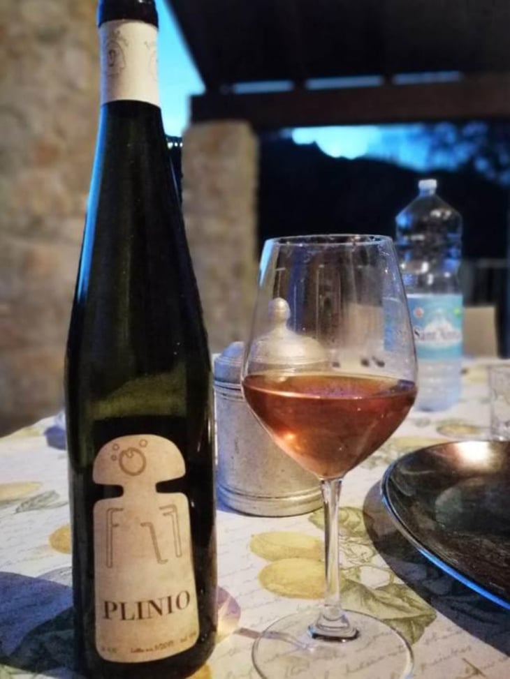 Plinio - Terra Della Luna - alessandro-vignali 