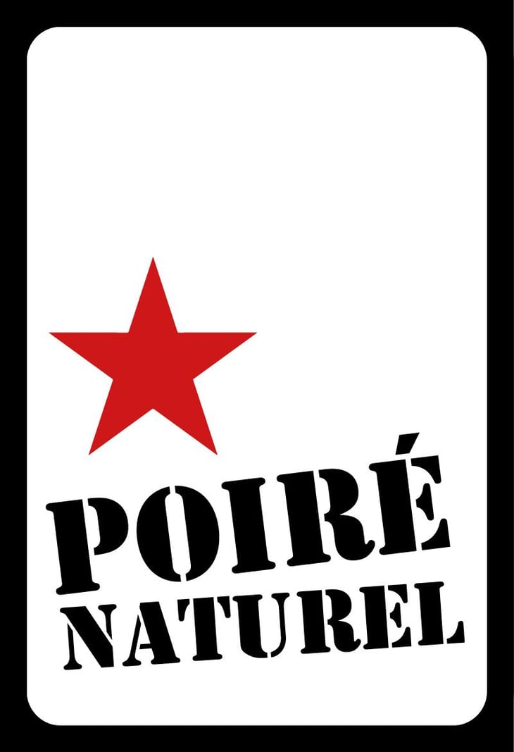 Poiré Naturel - Domaine Pascal Treichler - pascal-treichler -2023