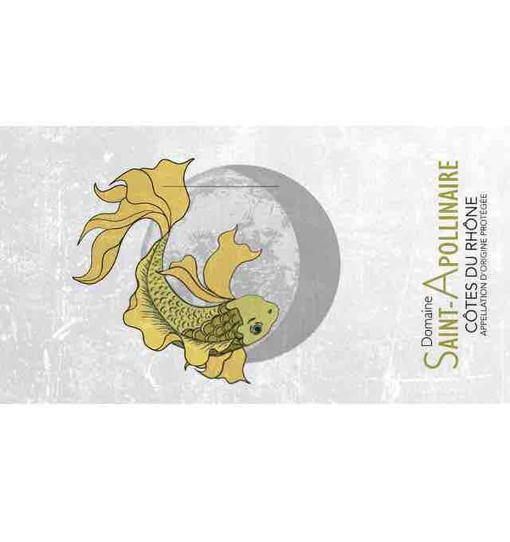 Poisson blanc - Domaine Saint-Apollinaire - elodie-daumas 