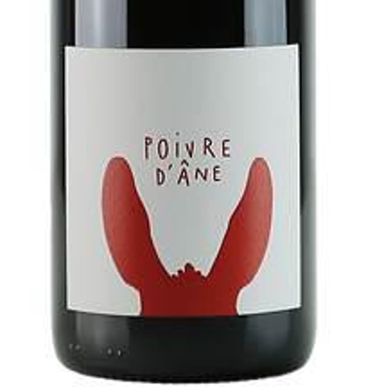Poivre d'Ane Rouge - Poivre d'Ane - alexandre-pons 