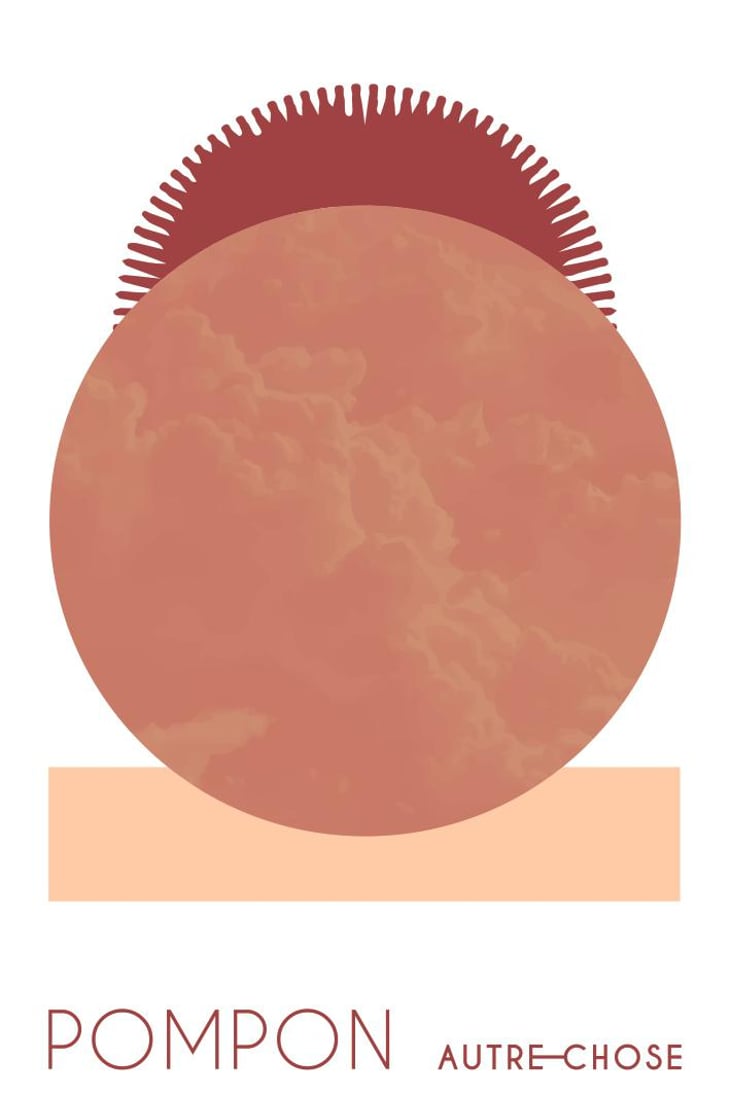 Pompon - Domaine Autre Chose - tiphaine-pierlot-corentin-le-bolloch -2022