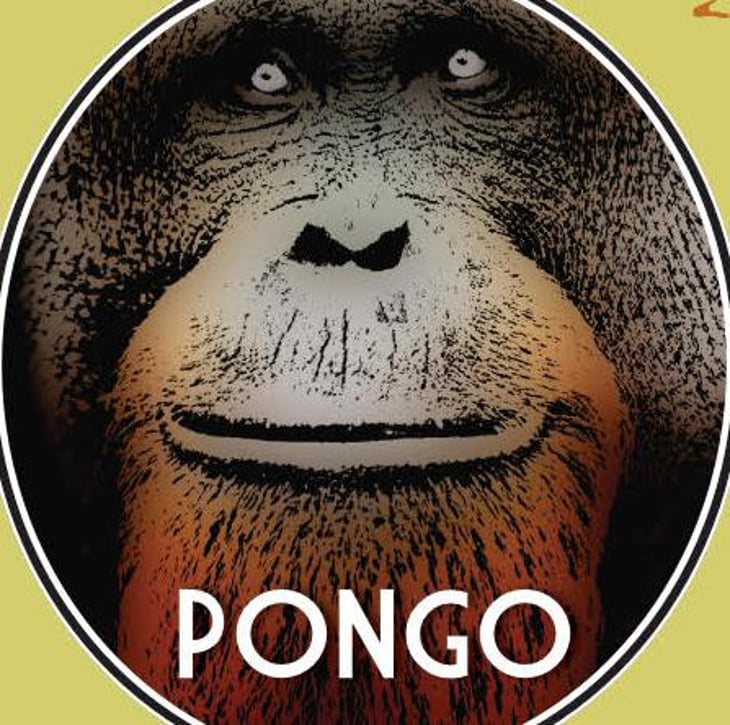 PONGO - Domaine d'Aresquiers - pierre-yves-petit -2024