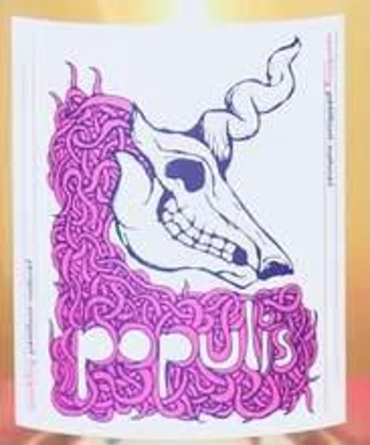 Populis - Licorn Méchante - Pet Nat - Les Lunes Wine / Populis Wine - shaunt-oungolian-diego-roig 