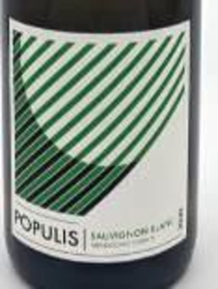 POPULIS SAUVIGNON BLANC - Les Lunes Wine / Populis Wine - shaunt-oungolian-diego-roig 
