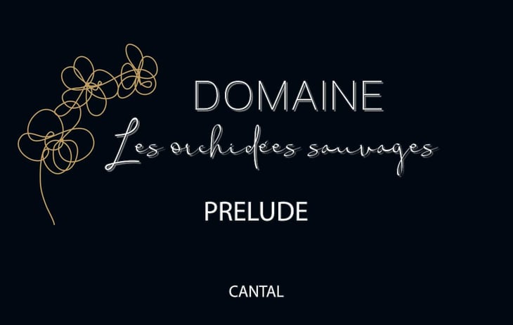 Prélude - Les Orchidées Sauvages - sebastien-lavaurs 