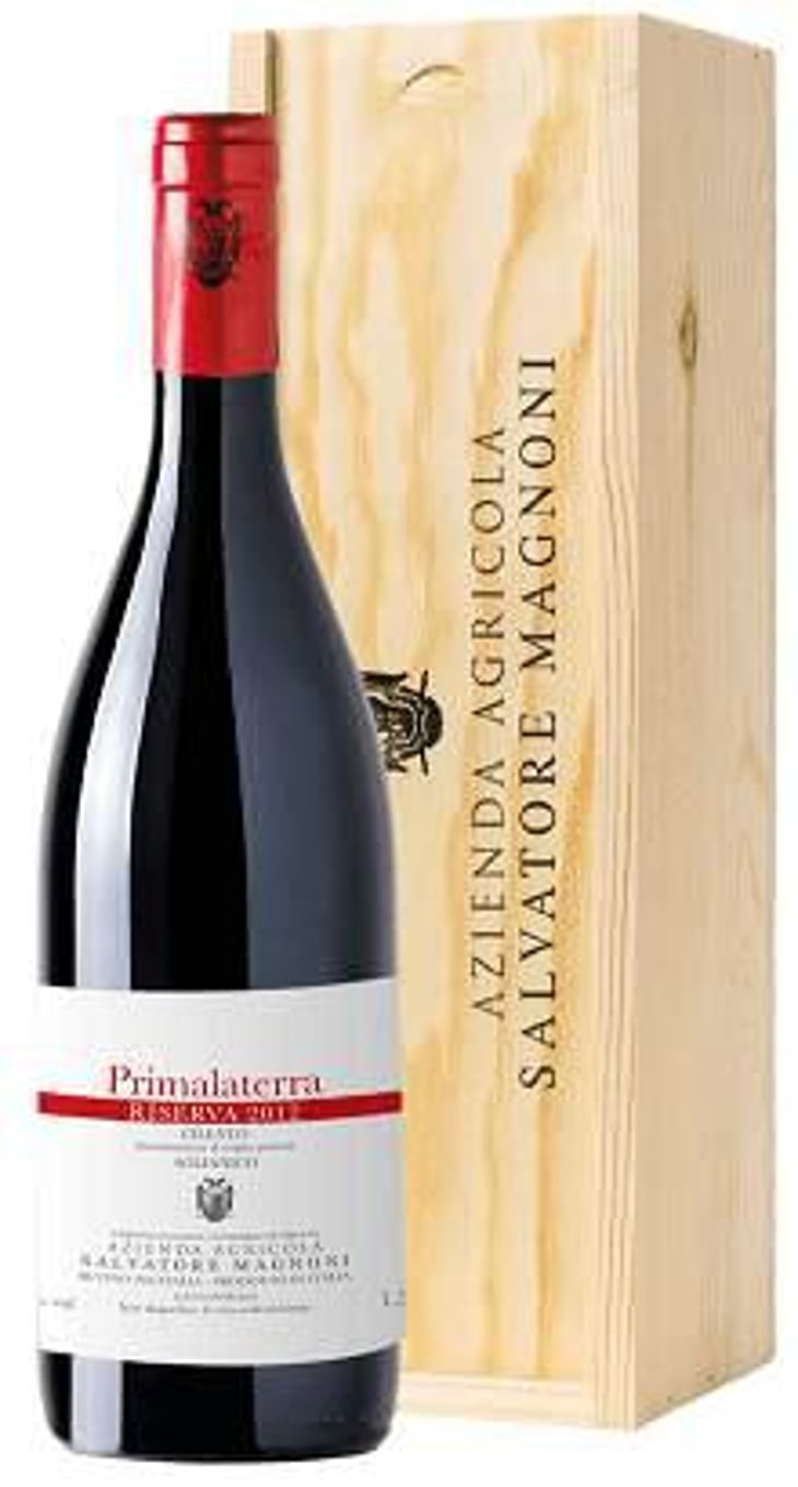 Primalaterra magnum  Cilento Aglianico Dop Riserva - Azienda Agricola Salvatore Magnoni - salvatore-magnoni 