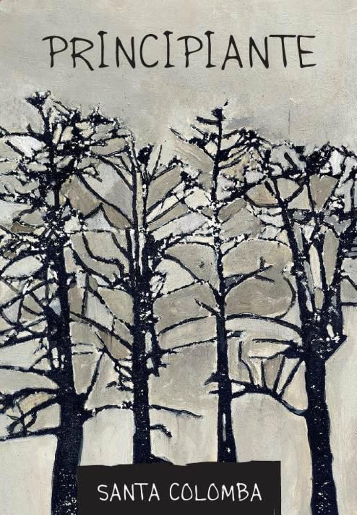 Principiante - Azienda Agricola Santa Colomba - marco-dani-gianfranco-mistrorigo 