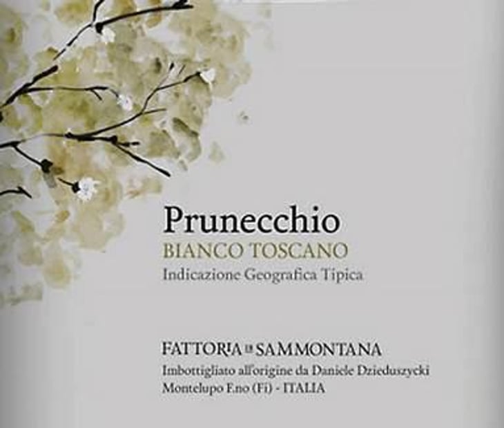 Prunecchio - Fattoria di Sammontana - daniele-andrea-lorenzo-dzieduszycki 