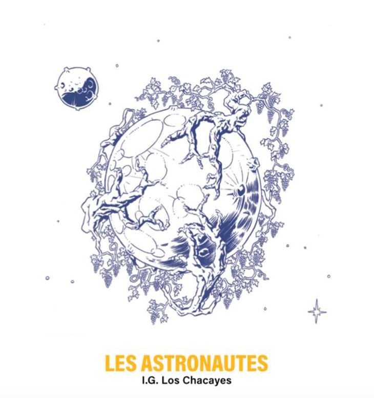 P'tit Nouveau - Les Astronautes - emmanuelle-haas-fredy-mestre 