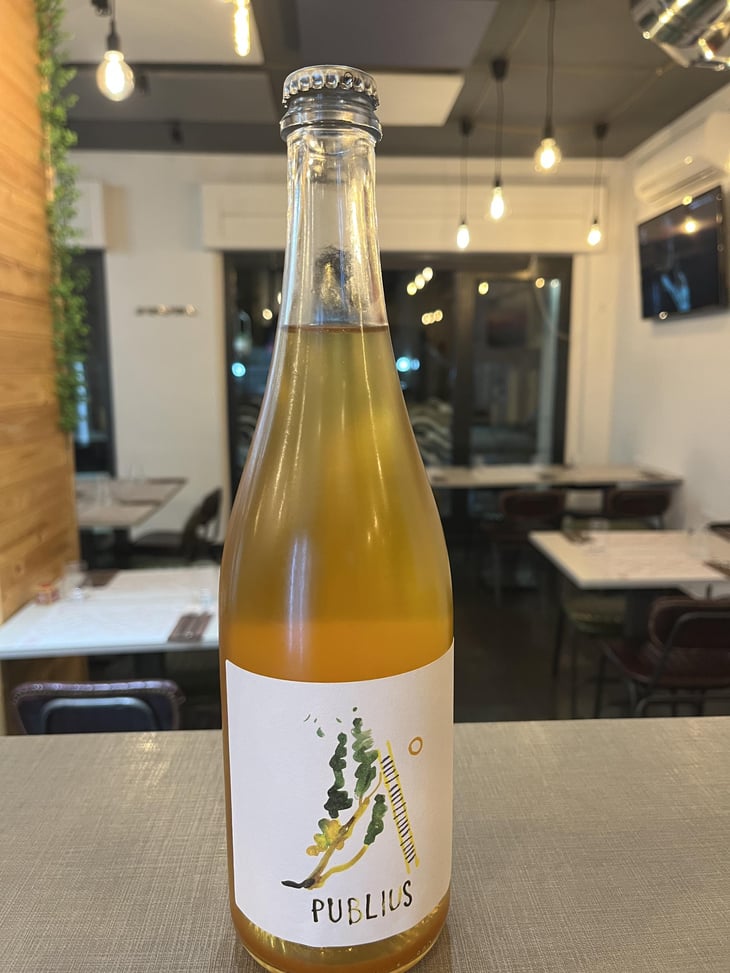 Publius - Gaia Felix - michele-lorenzetti -2020