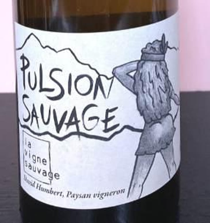 Pulsion Sauvage - La Vigne Sauvage - david-humbert 