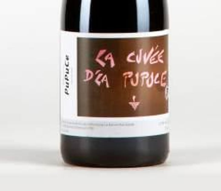 Pupuce - Le Nez de Goth - olivier-boulin 