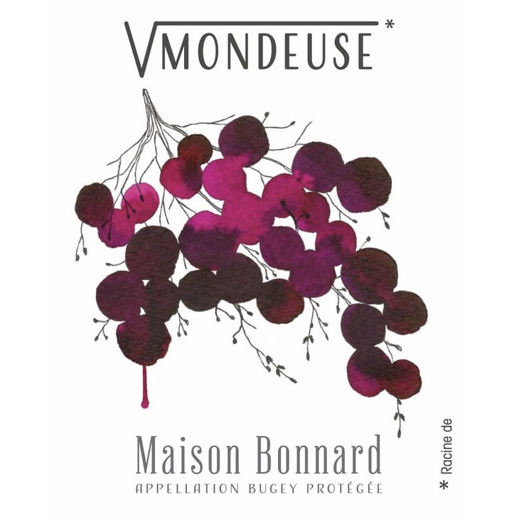 Racine de Mondeuse - Maison Bonnard - frederic-romain-et-anne-sophie-bonnard -2020