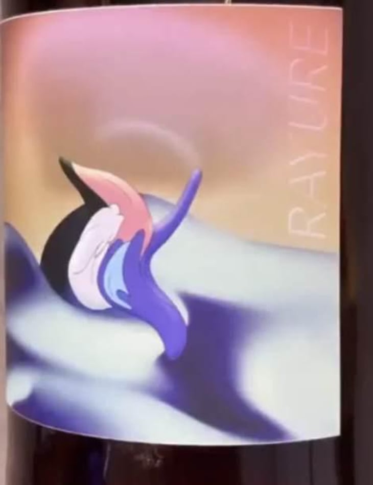 Rayure (X Nino ) - Domaine du Chambet - anthony-fonjallaz 