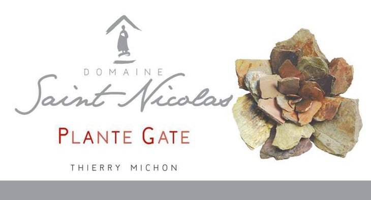 Plante Gate - Domaine Saint Nicolas - mickael-antoine-thierry-michon 