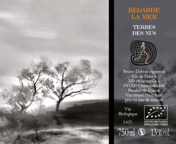 Regarde la mer - Terres Des Nus - bruno-debon 