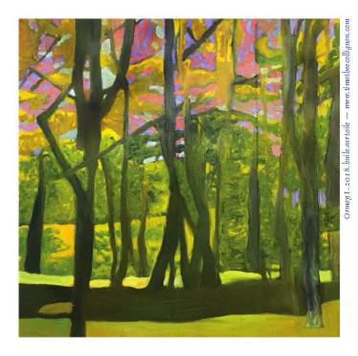 Esgaiada - Domaine de l'Astré - aude-duval-et-sylvain-ohayon 